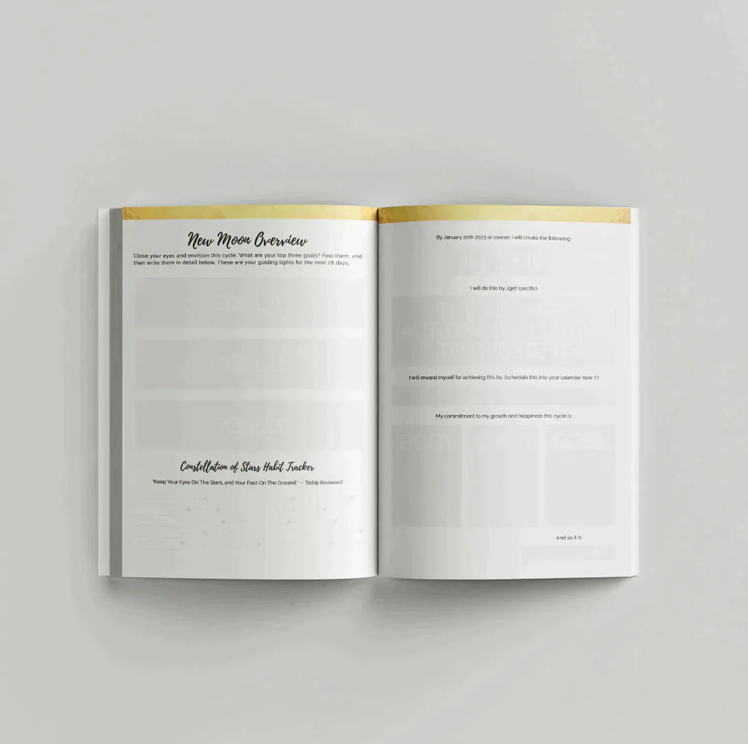 Q4 2025  - 90-Day Moon Phase Daily Planner Sept - Dec (Softcover)