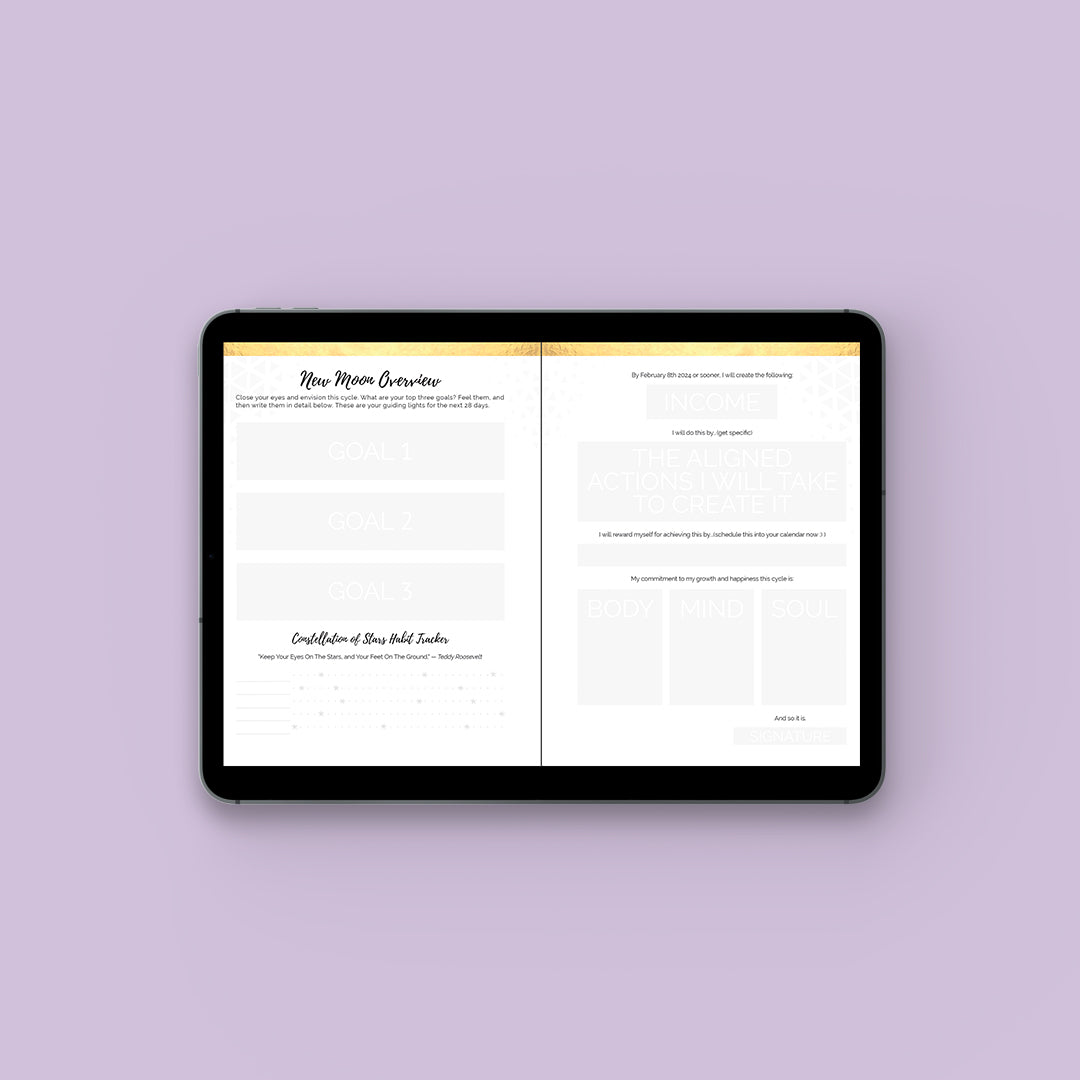 Q4 2025 Moonsight Planner - 90-Day Moon Phase DIGITAL Daily Planner Sept - Dec GoodNotes PDF