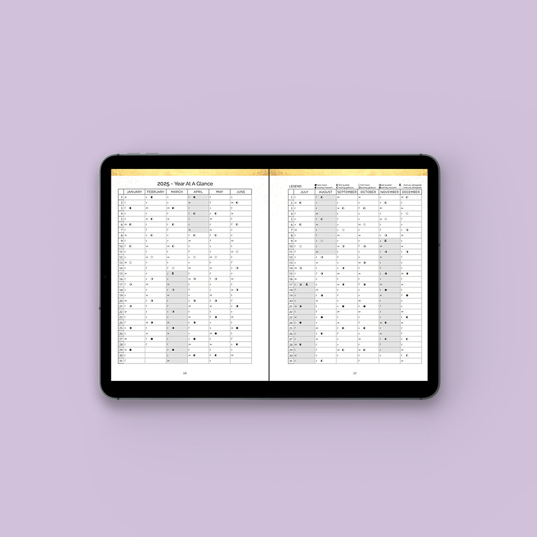 Q4 2025 Moonsight Planner - 90-Day Moon Phase DIGITAL Daily Planner Sept - Dec GoodNotes PDF