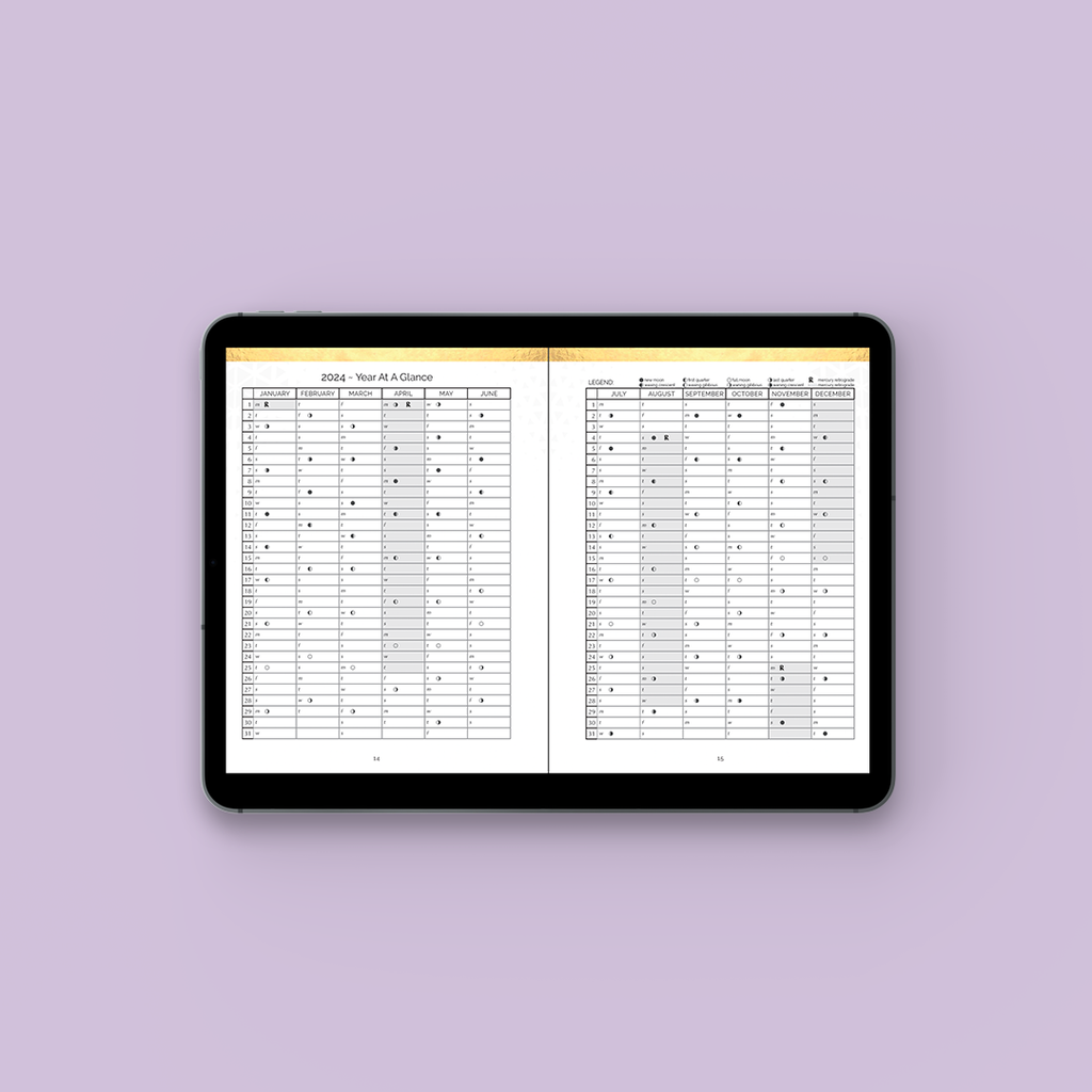 Q4 2024 Moonsight Planner - 90-Day Moon Phase DIGITAL Daily Planner Oct - Dec GoodNotes PDF