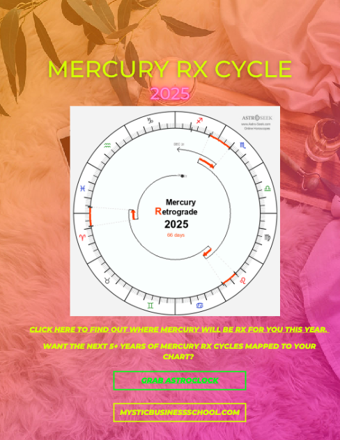 2025 Cosmic Planning Extravaganza - Training & Cheat Sheets - Map out your Year Workshop