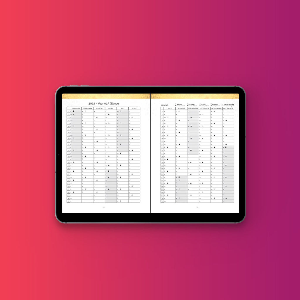 Moonsight Planner 2023 - 90-Day 4x DIGITAL BUNDLE (Q1-Q4) Daily Planners (Jan-Dec) Good Notes PDFs