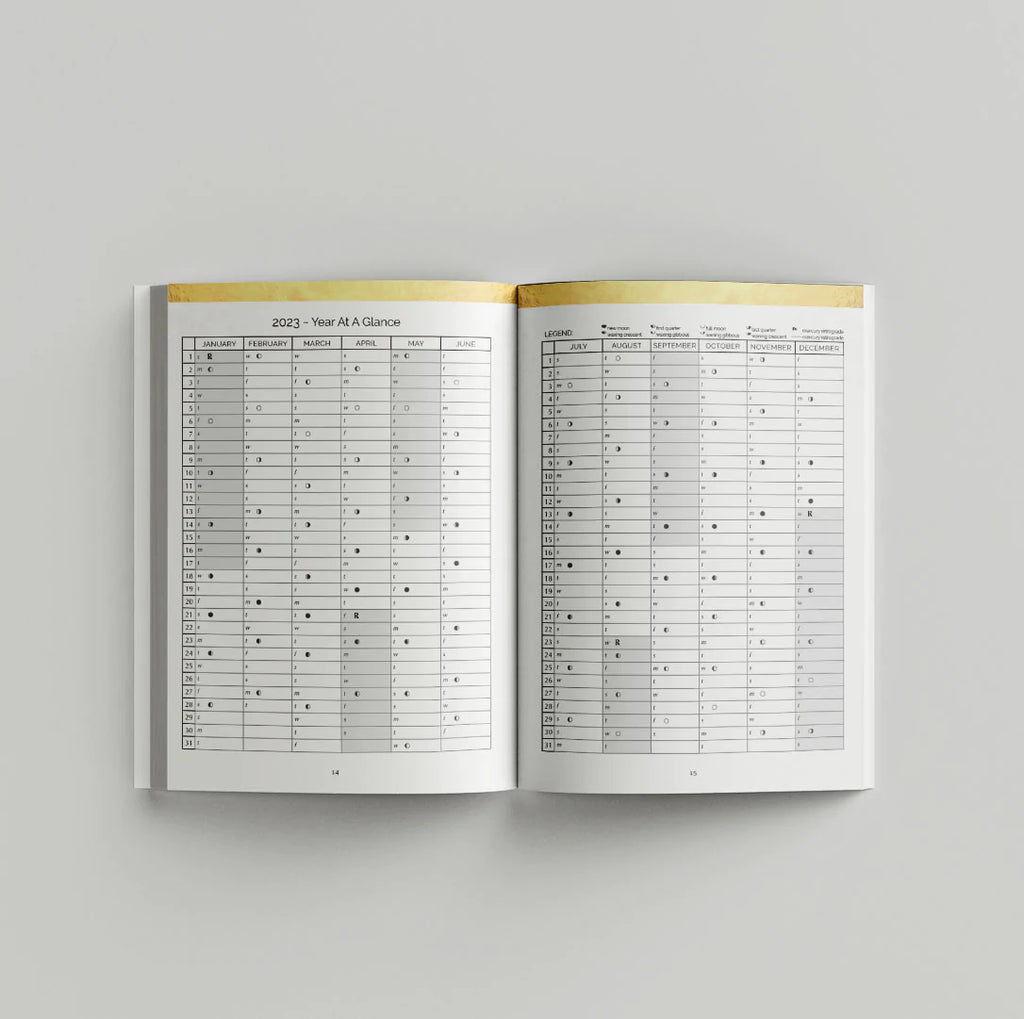 Q2 2023  - 90-Day Moon Phase Daily Planner March - June 2023 (Softcover)